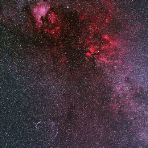 はくちょう座北西部（北アメリカ～サドル～網状星雲）