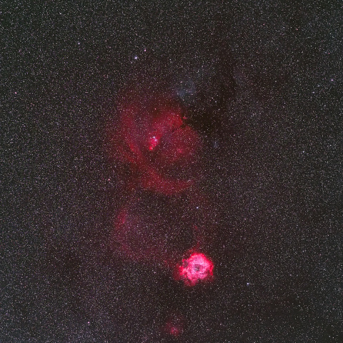 いっかくじゅう座　バラ星雲～クリスマスツリー星団