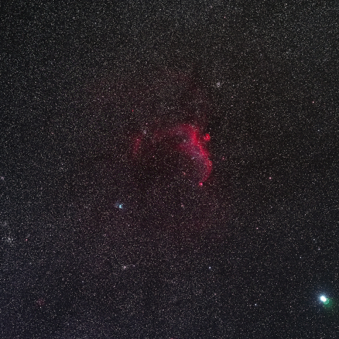 おおいぬ座　IC2177～M46、M47付近