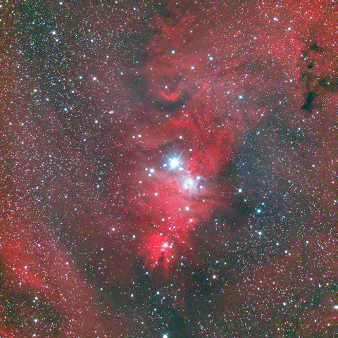 クリスマスツリー星団付近 NGC2264