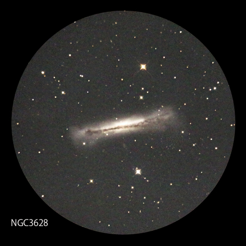 NGC3628 ハンバーガー銀河