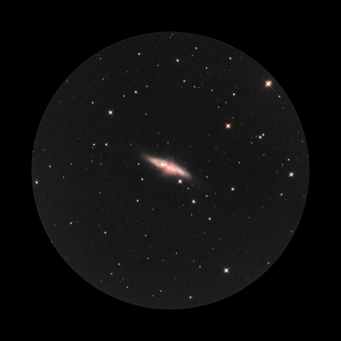 M82
