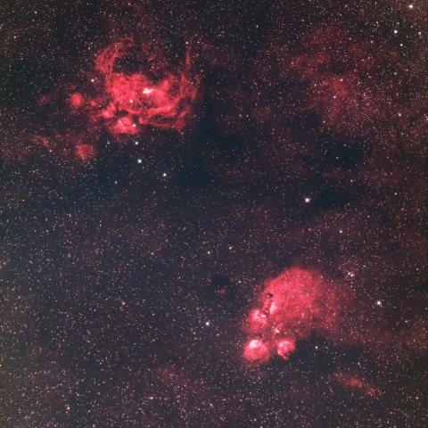 出目金星雲 と 彼岸花星雲 