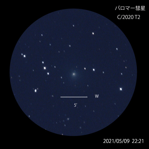 パロマ―彗星 C/2020 T2