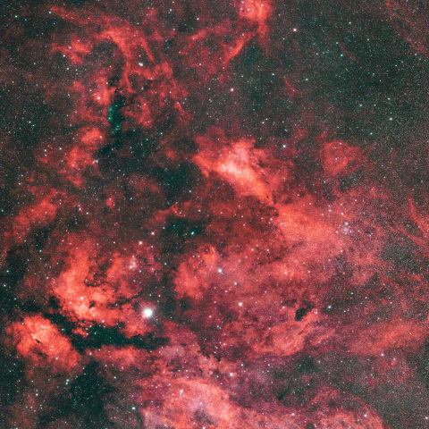 はくちょう座 γ 付近