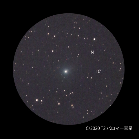パロマ―彗星 C/2020 T2（2021/06/09）
