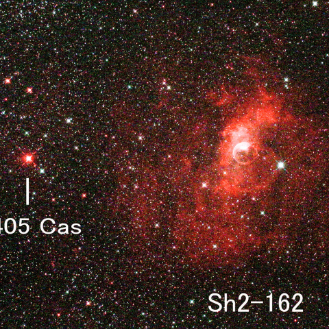 Sh2-162 カシオペア座の新星