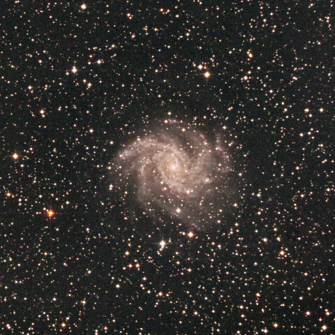 NGC6946 花火銀河