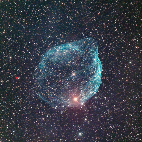 Sh2-308 ミルクポット星雲