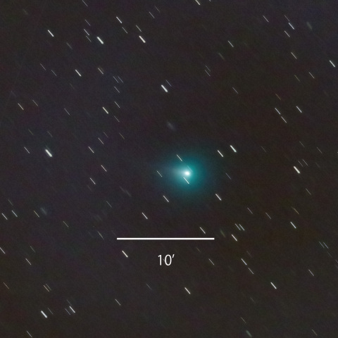 19P/Borrelly 2022/01/26