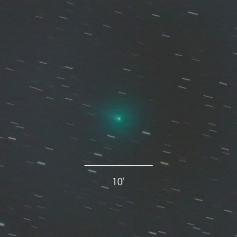 104P/Kowal 2022/01/26