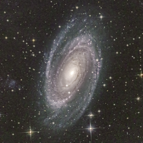 M81