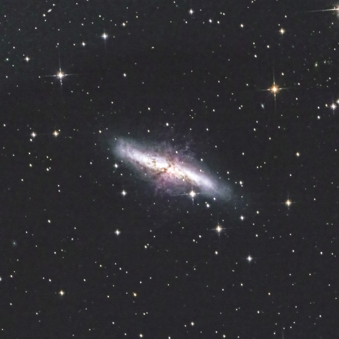 M82