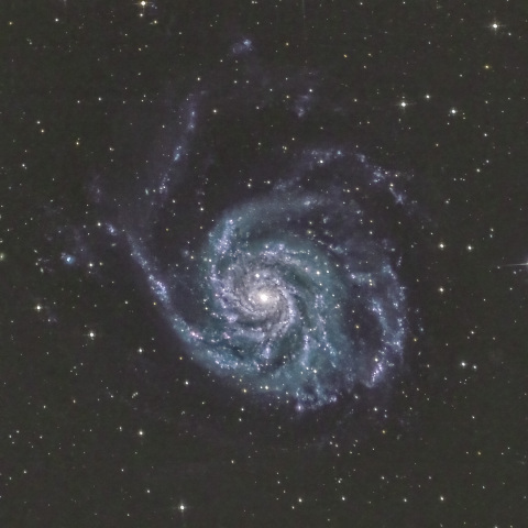 M101