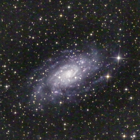 NGC2403 きりん座