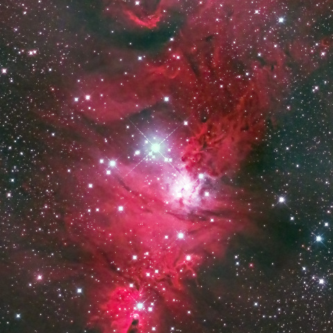 NGC2264 クリスマスツリー星団
