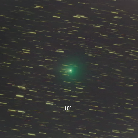 104P/Kowal 2022/03/03