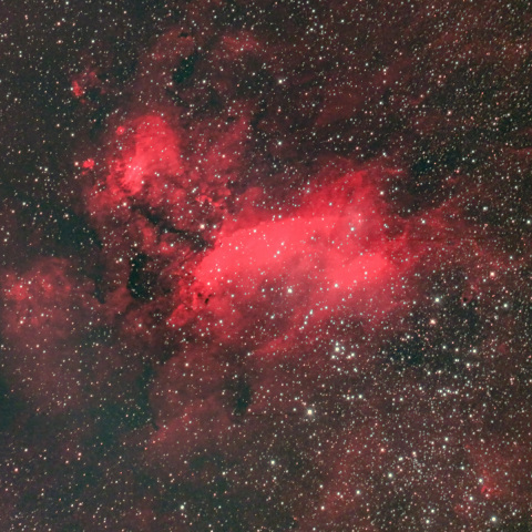 えび星雲（IC4628）