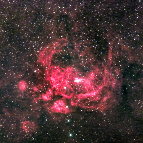 彼岸花星雲 Sh2-11