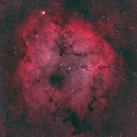 IC1396（Sh2-131）