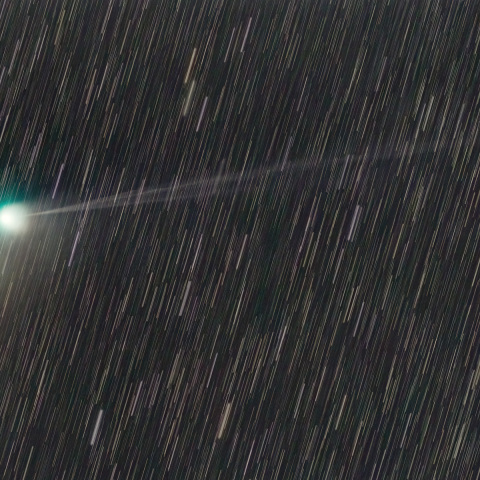 C/2022E3 ZTF彗星 2023/01/31