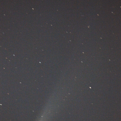 C/2025A6 レモン彗星:25/11/06