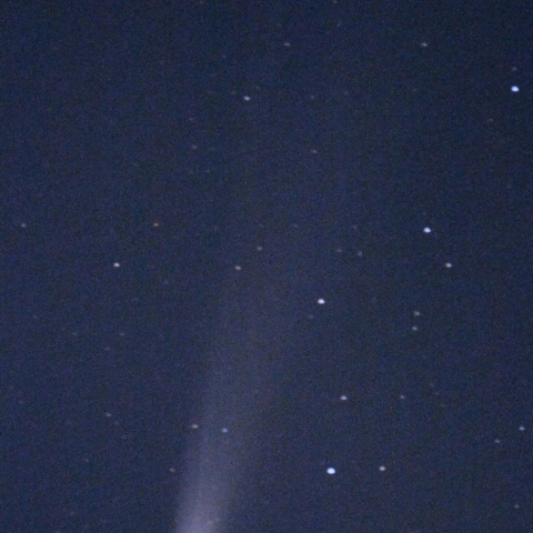 C/2025A6 レモン彗星：25/11/07