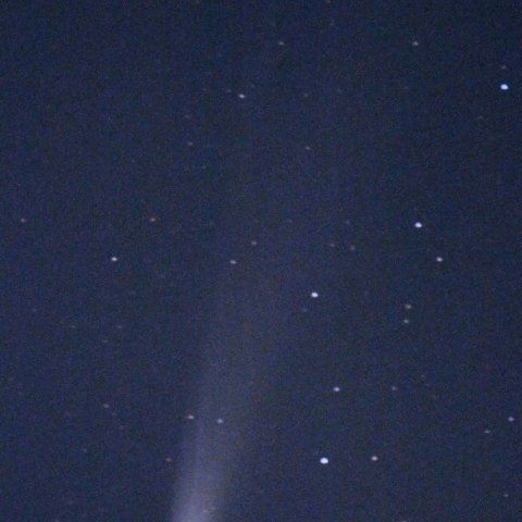 C/2025A6 レモン彗星：25/11/08