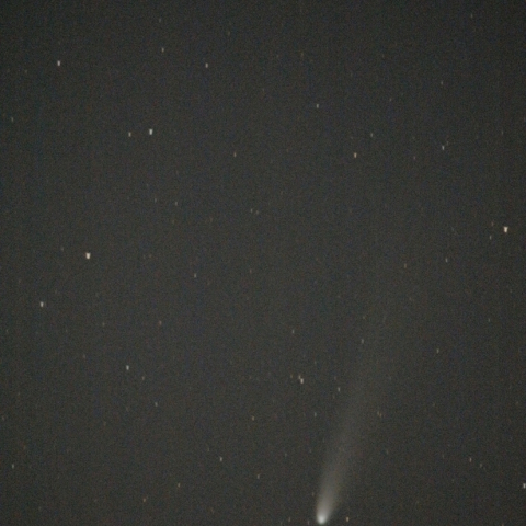 C/2025A6 レモン彗星：25/11/10