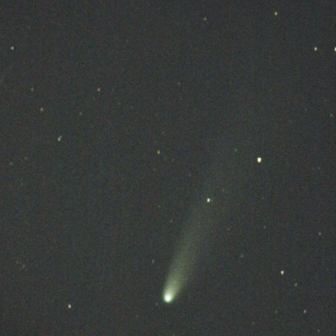 C/2025A6 レモン彗星：25/11/11