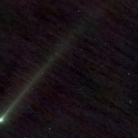 220P/McNaught