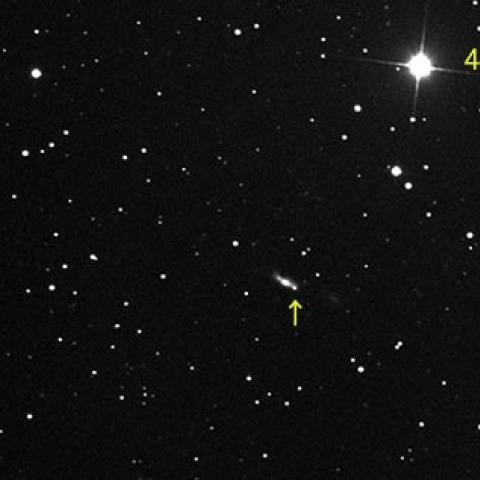 おおくま座　NGC3448の超新星