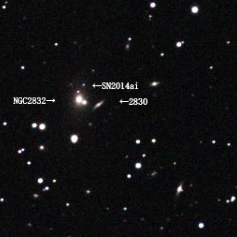 ヤマネコ座NGC2832の超新星SN2014ai