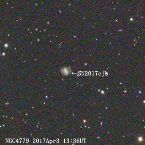 SN2017cjb