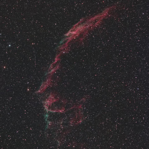 都心からの網状星雲