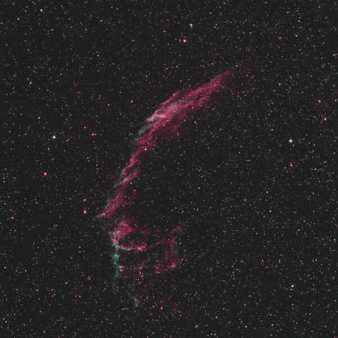 都心からの網状星雲