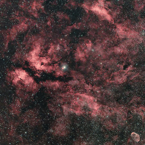 はくちょう座γ星サドル周辺の散光星雲