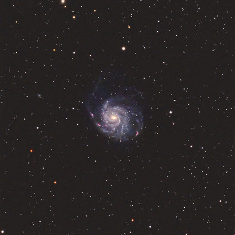 回転花火銀河 M101