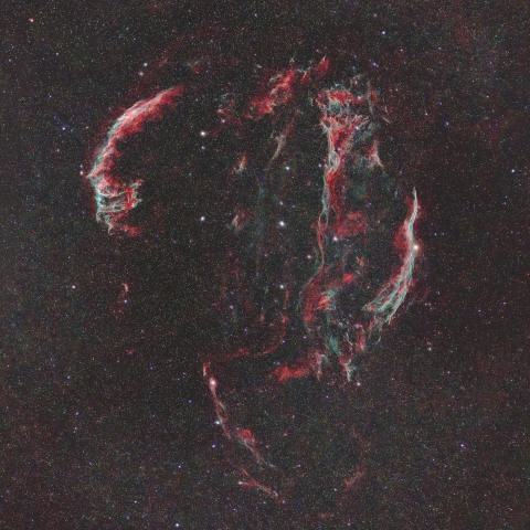 東京都心からのはくちょう座ループ