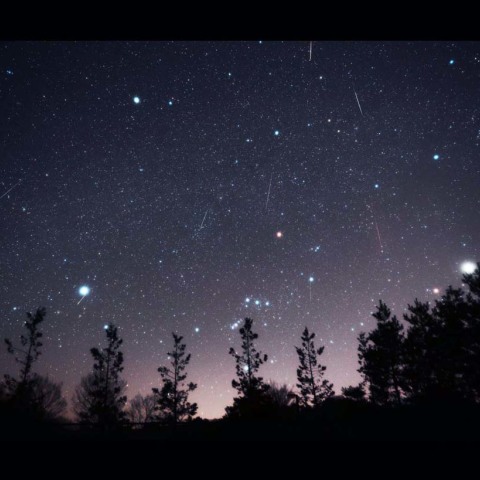 ふたご座流星群