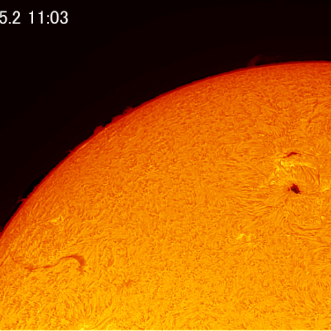 Hαによる太陽表面