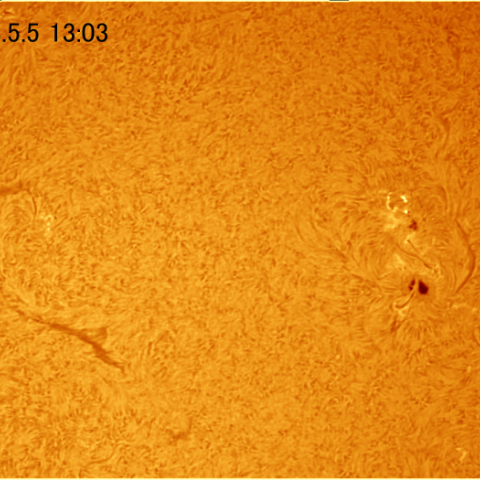 Hαによる太陽表面