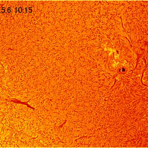 Hαによる太陽表面