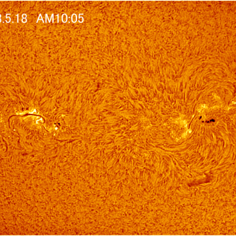 Hαによる太陽表面