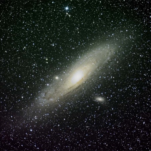 M31