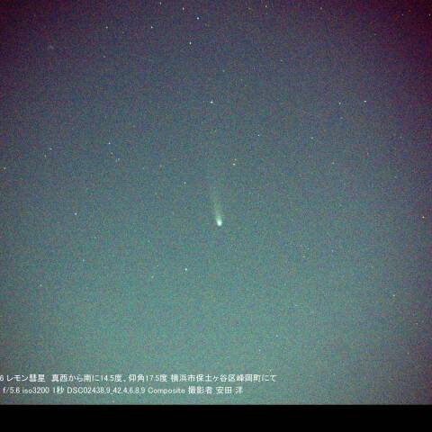 11月に入っても撮れました