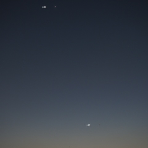 水星と金星のコラボレーション