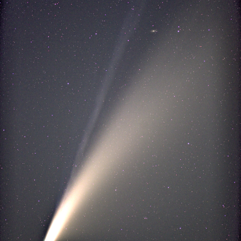 ネオワイズ彗星( C/2020 F3 )