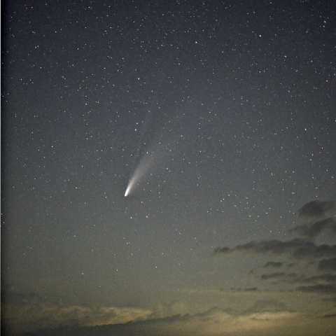 ネオワイズ彗星( C/2020 F3 )