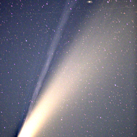 ネオワイズ彗星( C/2020 F3 )